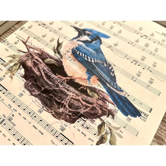 Blue Jay Bird Sheet Music 8x10 Wall Collage Artwork Picture Prints, Set of 6 - Picture 4 of 5
